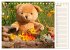 Geliebte Bären - Teddys (Tischkalender... - Bild 13