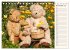 Geliebte Bären - Teddys (Tischkalender... - Bild 4
