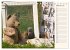 Geliebte Bären - Teddys (Tischkalender... - Bild 8