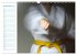 Kampfsport (Wandkalender 2026 DIN A3... - Bild 15