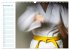 Kampfsport (Wandkalender 2026 DIN A3... - Bild 5