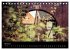 Urdenbach / Odebach (Tischkalender 2026... - Bild 10