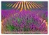 Lila - die mystische Farbe... - Bild 13