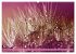 Lila - die mystische Farbe... - Bild 15