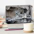 Der Schneeleopard (Tischkalender 2026... - Bild 2