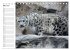 Der Schneeleopard (Tischkalender 2026... - Bild 9