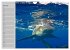 Haie (Wandkalender 2026 DIN A4 quer),... - Bild 13