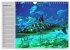 Haie (Wandkalender 2026 DIN A4 quer),... - Bild 3