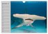 Haie (Wandkalender 2026 DIN A4 quer),... - Bild 5