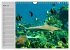 Haie (Wandkalender 2026 DIN A4 quer),... - Bild 10