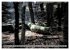 Spaziergang durch den Zauberwald... - Bild 7