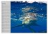 Haie (Wandkalender 2026 DIN A3 quer),... - Bild 13