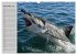 Haie (Wandkalender 2026 DIN A3 quer),... - Bild 4