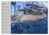 Haie (Wandkalender 2026 DIN A3 quer),... - Bild 9