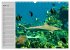 Haie (Wandkalender 2026 DIN A3 quer),... - Bild 10