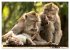 Ubud - Bali (hochwertiger Premium... - Bild 11