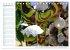 Südsee-Insel Mo'orea (Tischkalender... - Bild 15