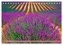 Lila - die mystische Farbe... - Bild 13