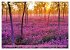 Lila - die mystische Farbe... - Bild 10