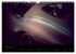Jaguar E-Type - Bodies (Wandkalender... - Bild 8