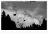 Mystischer Schwarzwald (Wandkalender... - Bild 7