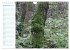 Wunderschöner Spreewald (Wandkalender... - Bild 15