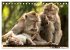 Ubud - Bali (Tischkalender 2026 DIN A5... - Bild 12