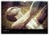 Urdenbach / Odebach (Wandkalender 2026... - Bild 8