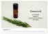 Aromatherapie - Düfte für die Seele... - Bild 4