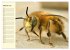 Fleißige Bienen. Von der Blüte bis... - Bild 7