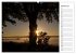 Seestärke - Der Ammersee (Wandkalender... - Bild 7
