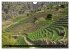 Cabo Verde - Afrikas Juwel-Archipel... - Bild 14