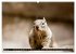 Yosemite - USA (Wandkalender 2026 DIN... - Bild 9