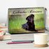 Labrador Retriever (Tischkalender 2026... - Bild 2