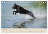 Labrador Retriever (Tischkalender 2026... - Bild 12