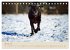 Labrador Retriever (Tischkalender 2026... - Bild 7