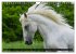 Traumpferd Lipizzaner (Wandkalender... - Bild 3