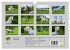 Traumpferd Lipizzaner (Wandkalender... - Bild 6