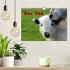 Der Yak (Wandkalender 2026 DIN A4... - Bild 2