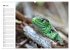 Amphibien und Reptilien (hochwertiger... - Bild 10