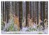 Bäume sind Träume (hochwertiger... - Bild 2