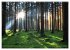 Bäume sind Träume (hochwertiger... - Bild 12