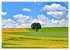 Bäume sind Träume (hochwertiger... - Bild 10