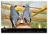 Graupapageien mit Herz (Tischkalender... - Bild 11