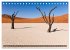 Wildes Namibia (Tischkalender 2026 DIN... - Bild 15