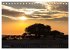 Wildes Namibia (Tischkalender 2026 DIN... - Bild 4