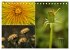 Blumenreise 2026 (Tischkalender 2026... - Bild 12