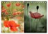 Blumenreise 2026 (Tischkalender 2026... - Bild 14