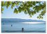 Bodensee Träume (Wandkalender 2026 DIN... - Bild 10