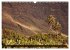 La Gomera - Valle Gran Rey... - Bild 4